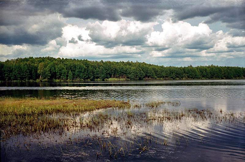 Рыбалка на Чёрном озере Кировской области